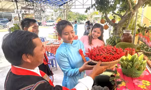 Phú Yên mở rộng thị trường tiêu thụ sản phẩm OCOP