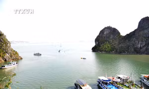 Thành công trong bảo vệ, phát huy giá trị của Vịnh Hạ Long là hình mẫu cho các di sản khác