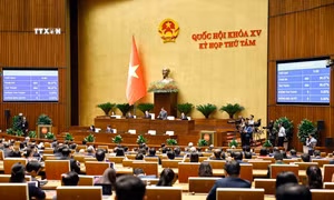 Nghị quyết Kỳ họp thứ 8, Quốc hội khóa XV
