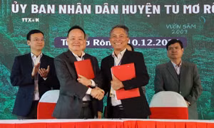 Nâng tầm vị thế sâm Ngọc Linh