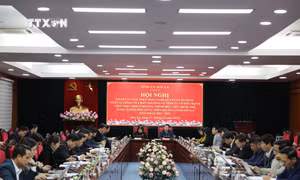 Sơn La hỗ trợ phát triển sản xuất tạo sinh kế, việc làm bền vững cho người nghèo