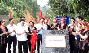 Phong trào thi đua sôi nổi trong xây dựng nông thôn mới ở Yên Bái