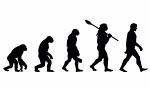 Nghiên cứu mới giúp mở rộng thuyết tiến hóa của Darwin