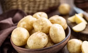 Đột phá mới trong nhân giống khoai tây lai