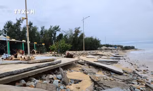 Bờ biển Thừa Thiên - Huế sạt lở nặng sau bão số 6