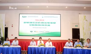 Nhiều giải pháp mới trong canh tác lúa vùng Đồng bằng sông Cửu Long