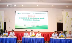 Nhiều giải pháp mới trong canh tác lúa vùng Đồng bằng sông Cửu Long