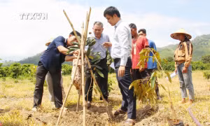 Kết nghĩa buôn làng, thắm tình đoàn kết ở Đắk Lắk