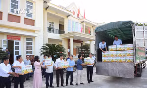 Xuất khẩu sản phẩm bưởi Soi Hà sang thị trường Anh