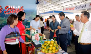 Đặc sắc Hội chợ quảng bá sản phẩm đặc sản các vùng miền ở Bình Thuận
