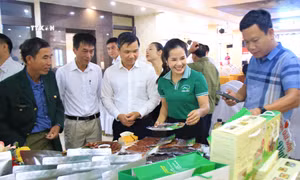 Phát triển thương hiệu và tiêu thụ sản phẩm OCOP