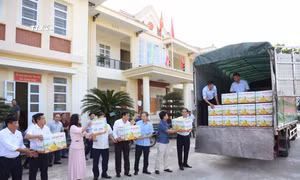 Xuất khẩu sản phẩm bưởi Soi Hà sang thị trường Anh