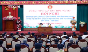Thái Nguyên khuyến khích đầu tư phát triển sản xuất, tạo việc làm cho đồng bào dân tộc thiểu số