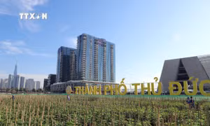 Chậm phân loại đô thị với đơn vị hành chính hình thành sau sắp xếp giai đoạn 2019 – 2021