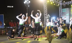 Đặc sắc Lễ hội đường phố "Quê hương mùa sen nở"