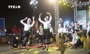 Đặc sắc Lễ hội đường phố "Quê hương mùa sen nở"