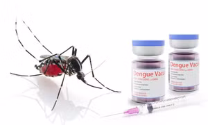 Vaccine phòng sốt xuất huyết đầu tiên được cấp phép lưu hành tại Việt Nam