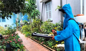 Kiểm tra lu chứa nước mưa để thả cá diệt trừ lăng quăng tại hộ dân . Ảnh: Lê Huy Hải - TTXVN