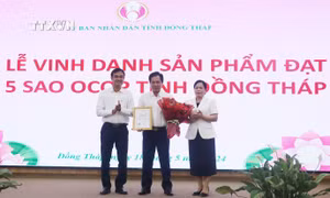 Đồng Tháp nâng cao chuỗi giá trị ngành sen gắn với tuần hoàn, tăng trưởng xanh