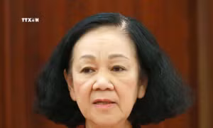 Cho thôi làm nhiệm vụ đại biểu Quốc hội khóa XV đối với bà Trương Thị Mai