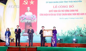 Thái Nguyên công bố Quyết định công nhận huyện Đại Từ đạt chuẩn nông thôn mới