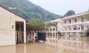 Sơn La: Trường Trung học Cơ sở Tạ Khoa bị ngập sâu do mưa lớn