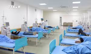 Triển khai đồng bộ các giải pháp để hạn chế ngộ độc thực phẩm