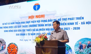 Tăng diện tích trồng dược liệu quý tại vùng đồng bào dân tộc thiểu số và miền núi