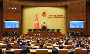 Quốc hội biểu quyết thông qua Luật Đất đai (sửa đổi). Ảnh: Phạm Kiên - TTXVN