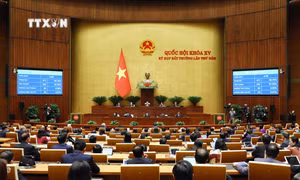 Quốc hội biểu quyết thông qua Luật Đất đai (sửa đổi). Ảnh: Phạm Kiên - TTXVN