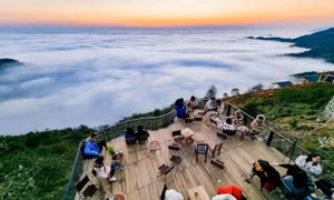 Đến Tà Xùa thưởng trà giữa mây bay