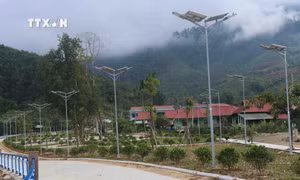 Dưới mái nhà chung (Bài 4)