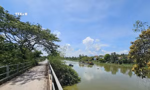 Đồng Tháp Mười - nửa thế kỷ bứt phá (Bài 1)