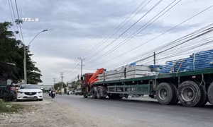 Đồng Tháp Mười - nửa thế kỷ bứt phá (Bài cuối)