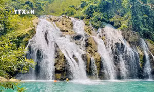 Dưới mái nhà chung (Bài 3)