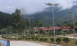 Dưới mái nhà chung (Bài 4)