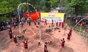 Dưới mái nhà chung (Bài 2)