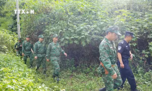Bộ đội Biên phòng tỉnh Lai Châu tổ chức tuần tra liên hợp chấp pháp trên biên giới 