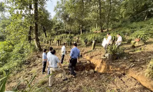 Lai Châu: Xuất hiện vết nứt, sụt lún tại Bản du lịch cộng đồng Sin Suối Hồ