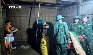 Xuất hiện vết nứt sâu trên đồi, Quảng Nam sơ tán khẩn cấp các hộ dân