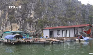 Thủ tướng yêu cầu triển khai các biện pháp nhanh chóng phục hồi sản xuất nông nghiệp