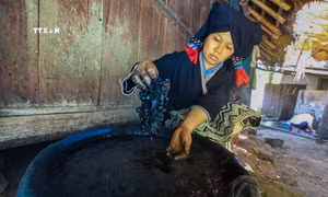 Hỗ trợ phục hồi, phát huy văn hóa phi vật thể các dân tộc thiểu số có nguy cơ mai một