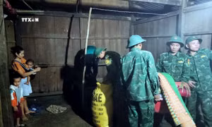 Xuất hiện vết nứt sâu trên đồi, Quảng Nam sơ tán khẩn cấp các hộ dân