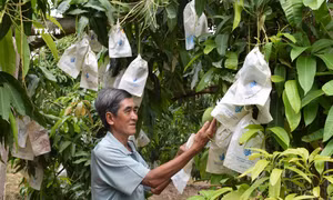 Hiệu quả ứng dụng số trong đời sống người dân Đồng Tháp