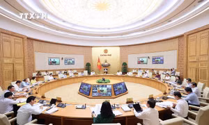 Tiêu chuẩn chức danh công chức lãnh đạo, quản lý trong cơ quan hành chính nhà nước