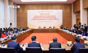 Hội nghị triển khai Nghị quyết hướng dẫn việc tổ chức hoạt động giải trình