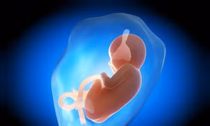 Nghiên cứu tạo “lá phổi mini” từ tế bào nước ối
