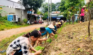 Huyện miền núi Quan Sơn xây dựng nông thôn mới gắn với bảo vệ an ninh, chủ quyền biên giới