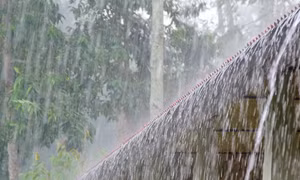 Kết hợp vật lý và AI giúp nâng cao khả năng dự báo lượng mưa