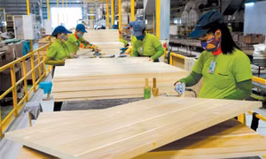 Bình Định đặt mục tiêu trở thành trung tâm chế biến lâm sản công nghệ cao